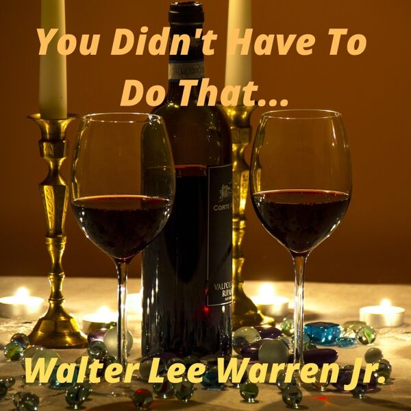 Cover art for You Didn't Have to Do That...